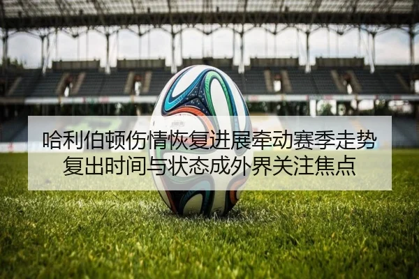 哈利伯顿伤情恢复进展牵动赛季走势 复出时间与状态成外界关注焦点 | kaiyun